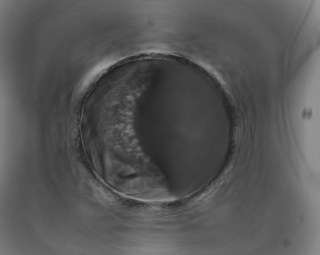 X0000092251359200709281136