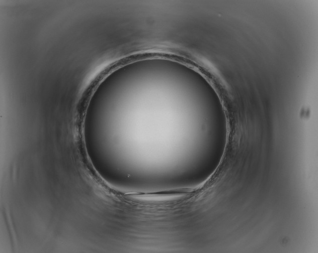 X0000092251360200709281136