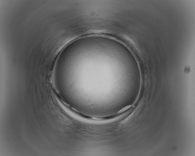 X0000092251361200709281136