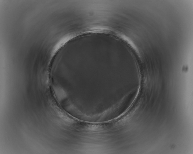 X0000092251362200709281136