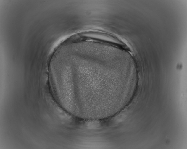 X0000092251363200709281135