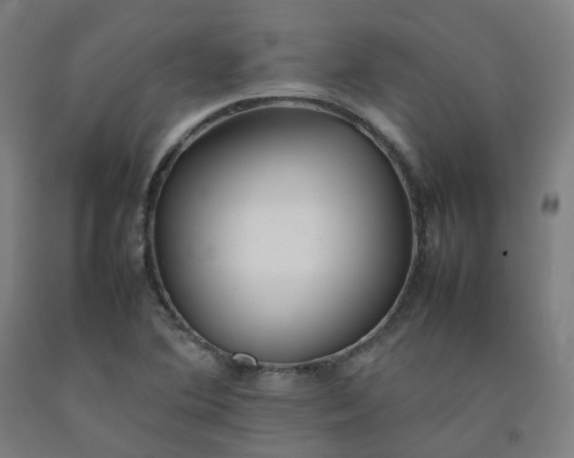 X0000092251364200709281135