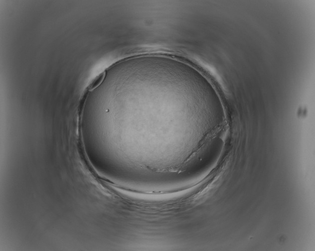 X0000092251365200709281135