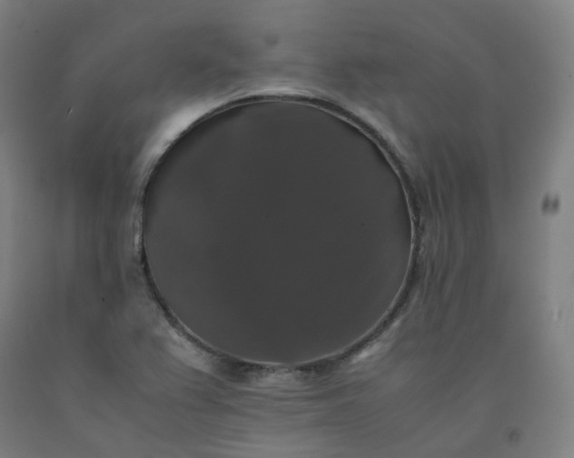 X0000092251367200709281135