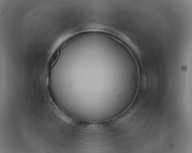 X0000092251368200709281135