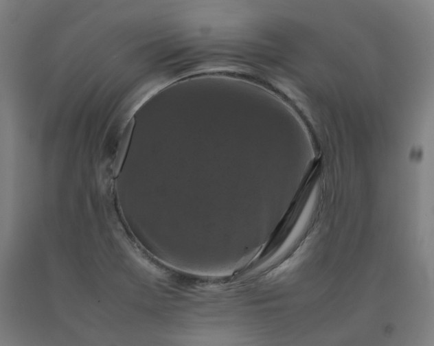 X0000092251369200709281135