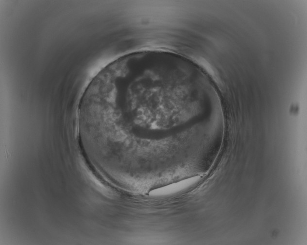 X0000092251371200709281135