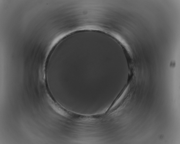 X0000092251372200709281135