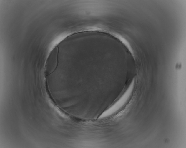 X0000092251373200709281135