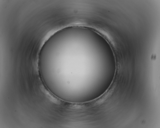 X0000092251374200709281135