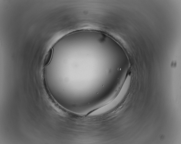 X0000092251375200709281135