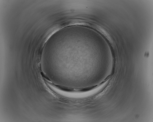 X0000092251377200709281135