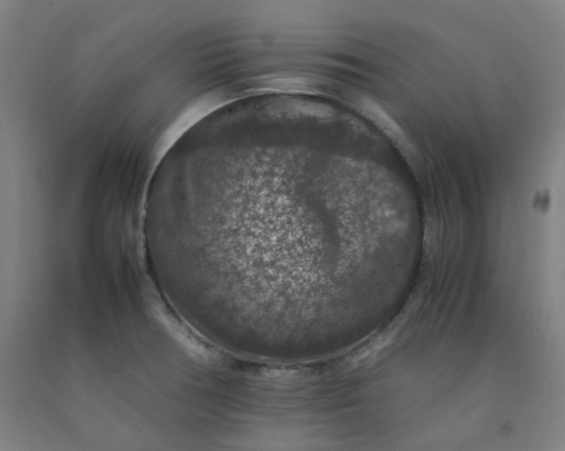 X0000092251378200709281135