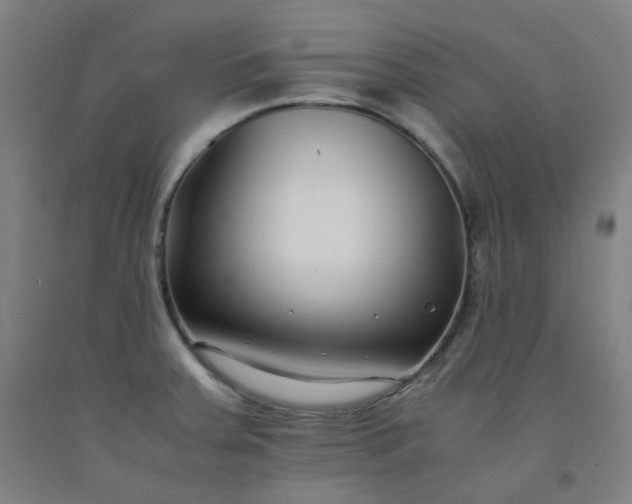 X0000092251379200709281135