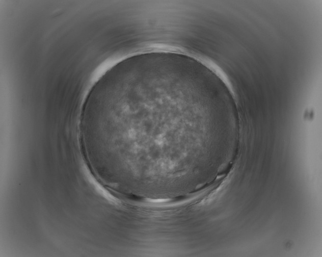 X0000092251381200709281135