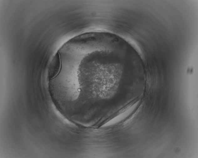 X0000092251382200709281135