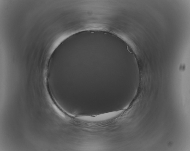 X0000092251383200709281135