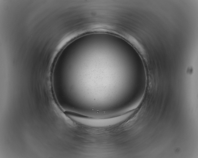 X0000092251384200709281135