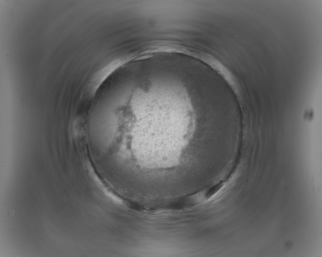 X0000092251385200709281135