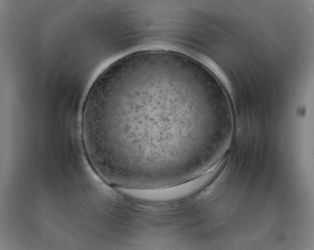 X0000092251388200709281135