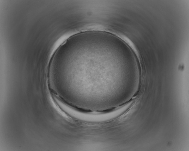 X0000092251389200709281135