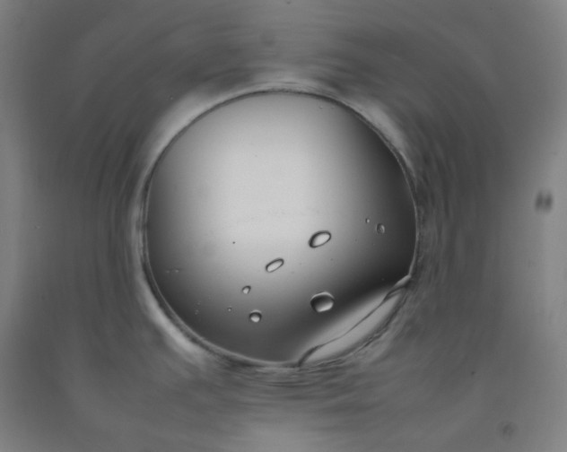 X0000092251391200709281135