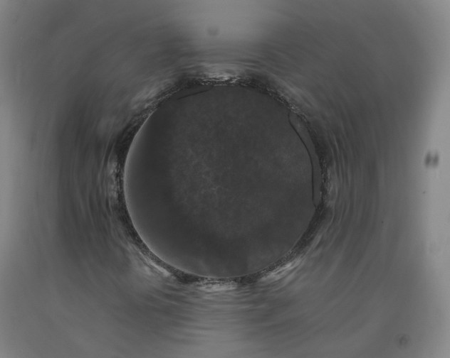 X0000092251394200709281135