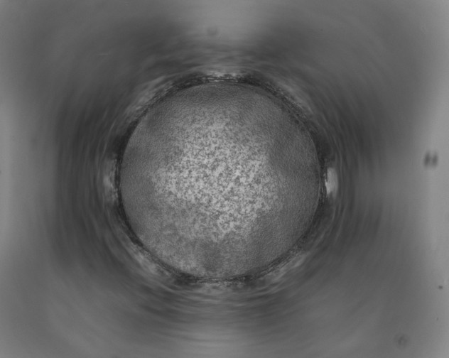 X0000092251396200709281135