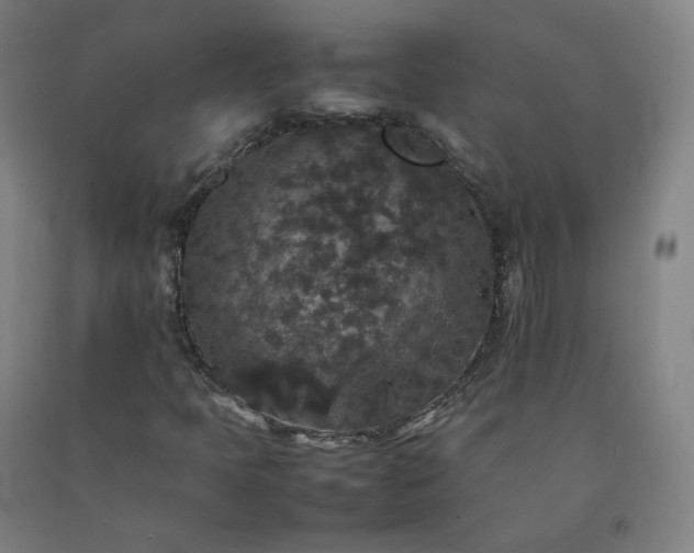 X0000092251397200709281135