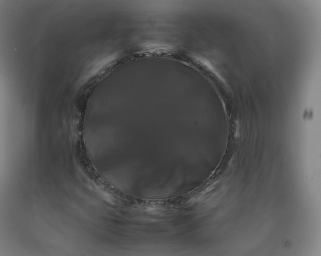 X0000092251399200709281135