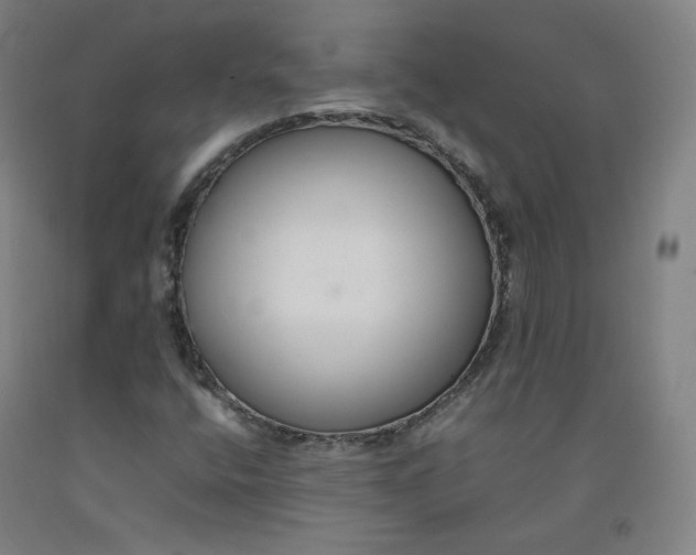 X0000092251400200709281135