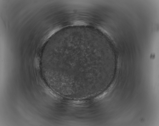 X0000092251401200709281135