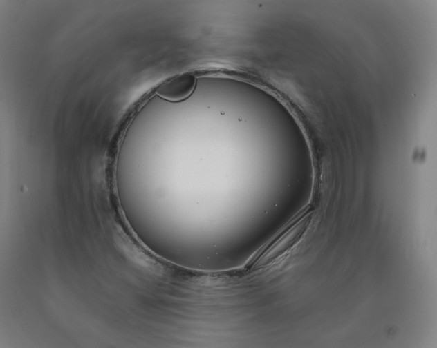 X0000092251404200709281135