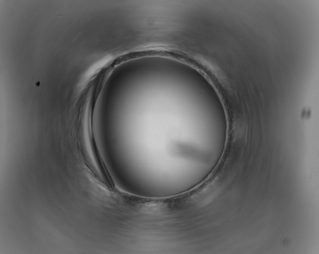 X0000092251406200709281135