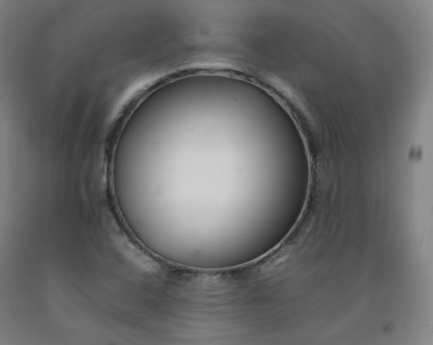 X0000092251408200709281135