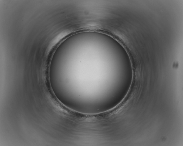 X0000092251410200709281135