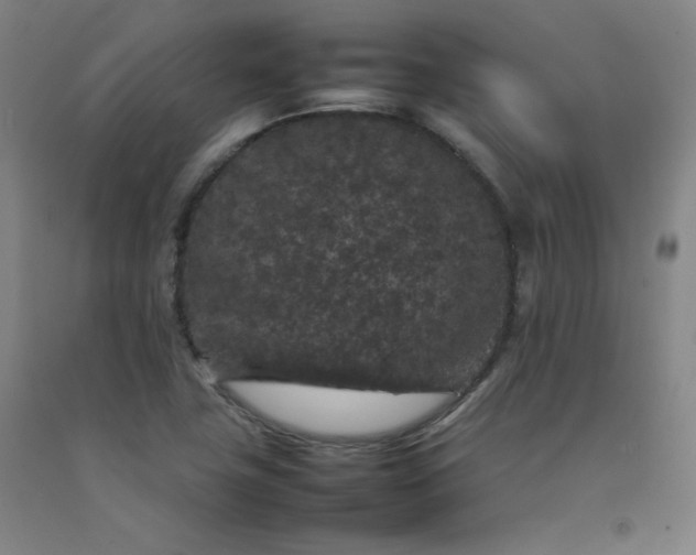 X0000092251411200709281135