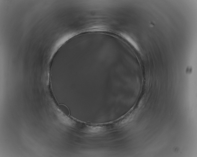 X0000092251413200709281135