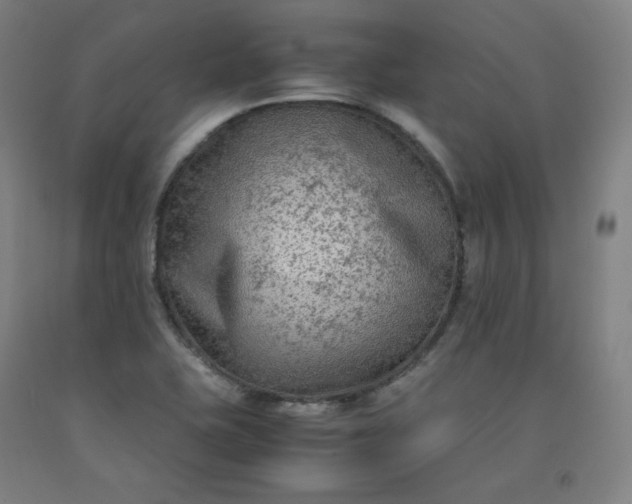 X0000092251415200709281135