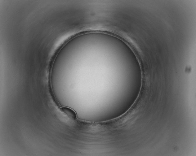 X0000092251416200709281135