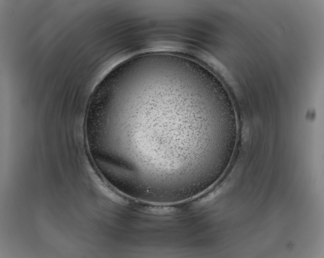 X0000092251417200709281135