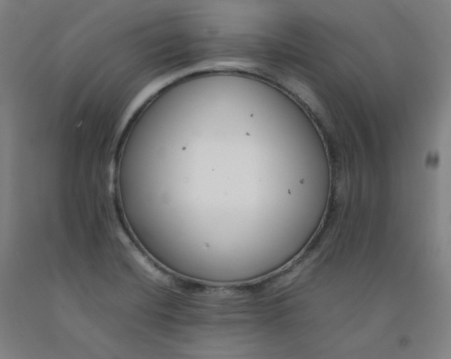 X0000092251420200709281135