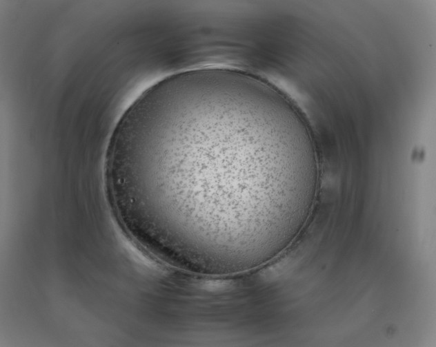 X0000092251423200709281135