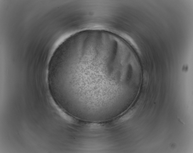 X0000092251424200709281135