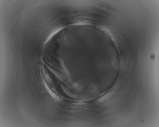 X0000092251425200709281135