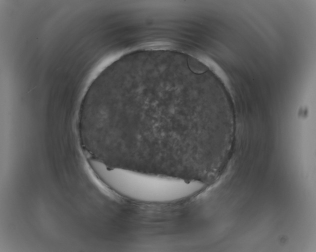 X0000092251429200709281135