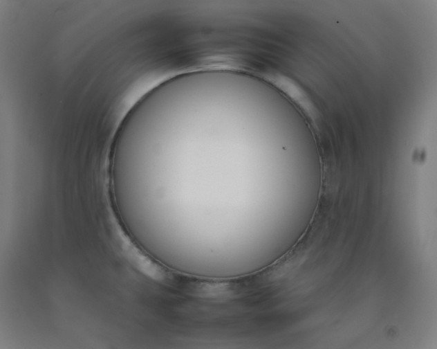 X0000092251431200709281135