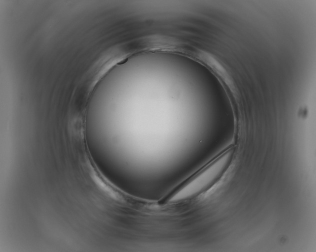 X0000092251433200709281135