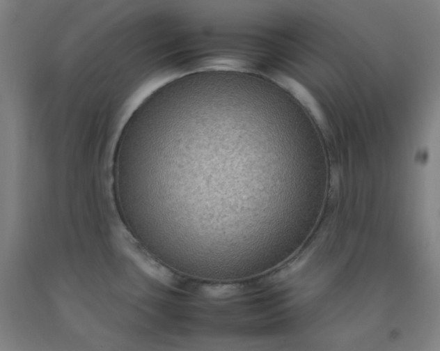 X0000092251435200709281135