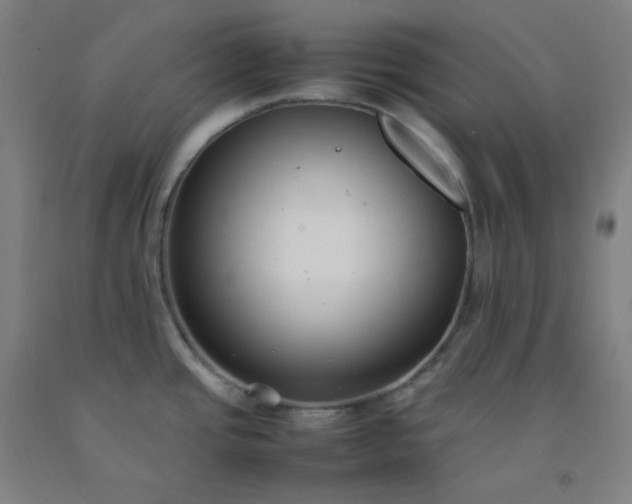 X0000092251437200709281135